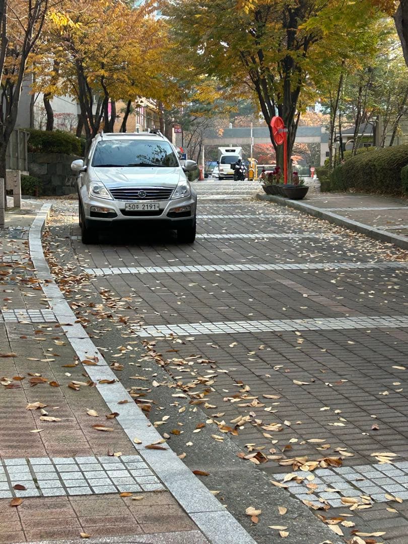 가을입니다 이미지 1/1