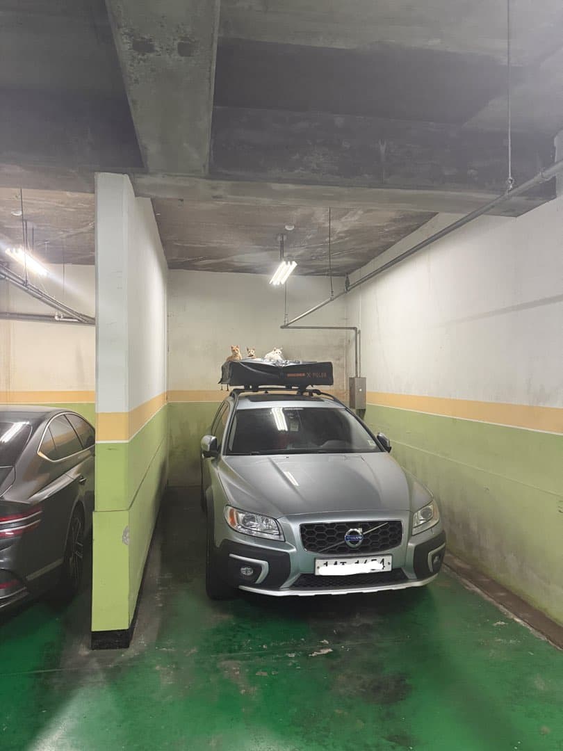 이놈들을 어떻게 해야할까요 이미지 1/3