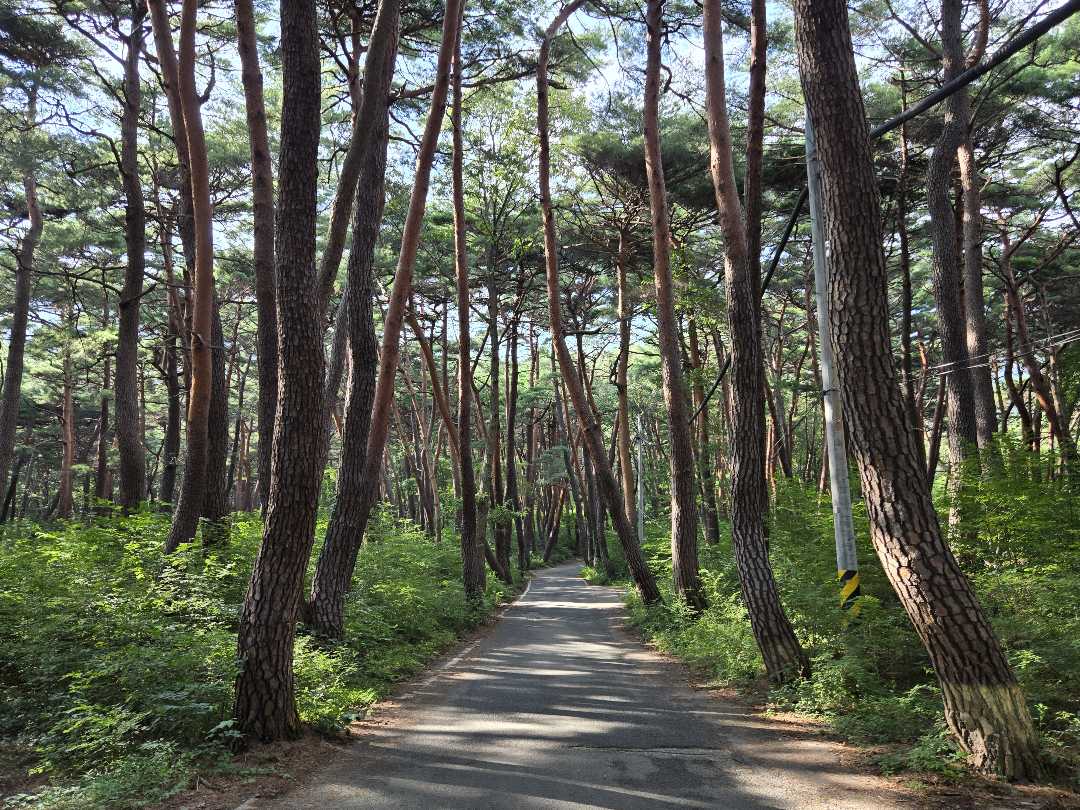 경남권 드라이브 코스 추천 합니다! 이미지 3/3