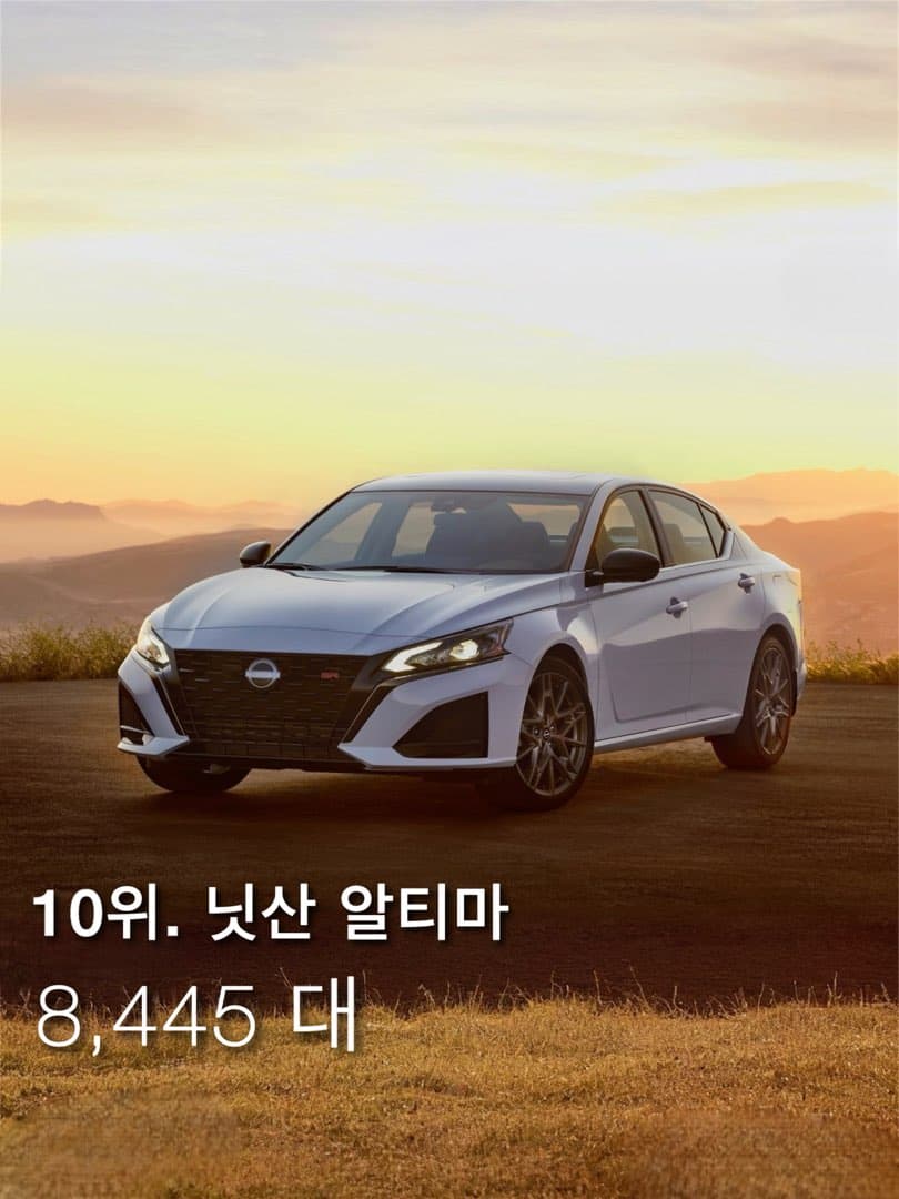 “가장 많이 도난당한 차 1위“ 현대 아반떼 (엘란트라) 등극 이미지 7/9