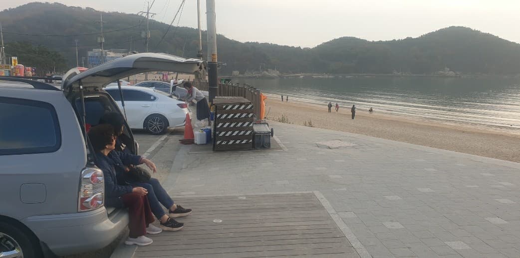 현대의 유일했던 미니밴 이미지 1/1