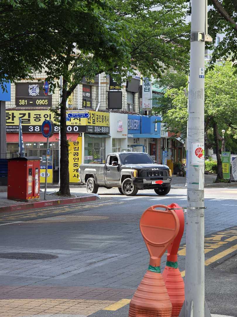 타스만 발견했어요 이미지 1/1