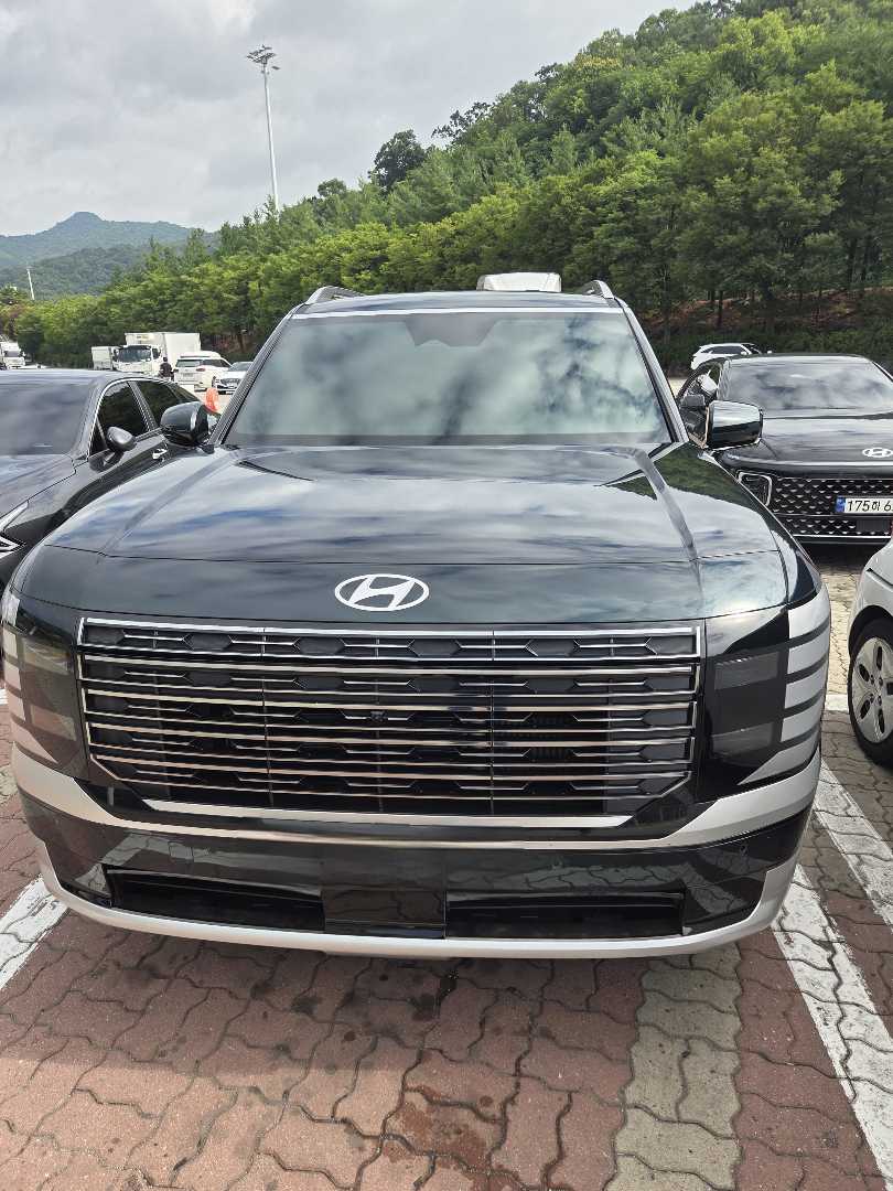 팰리 가솔린 출고~~ 이미지 1/1