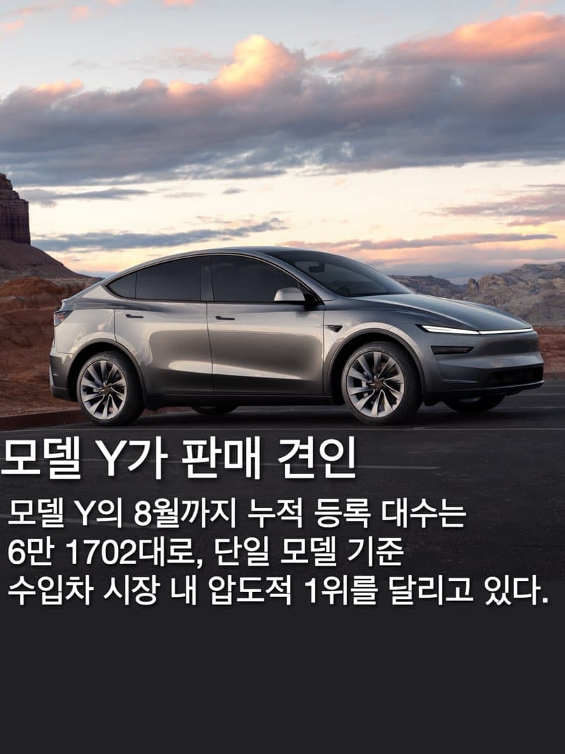 “연간 10만 대 달성?”…테슬라, 수입차 최초로 누적 10만 대 달성 임박… 이미지 3/4