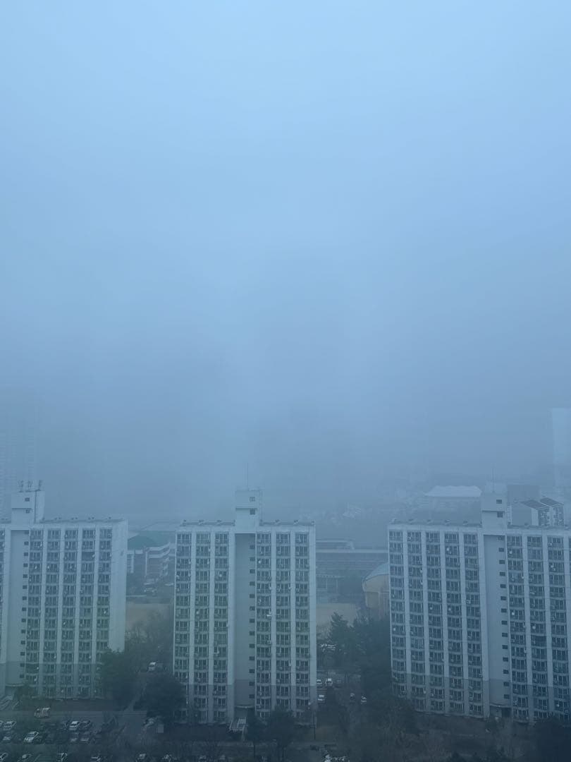 오늘의미세먼지 이미지 1/1