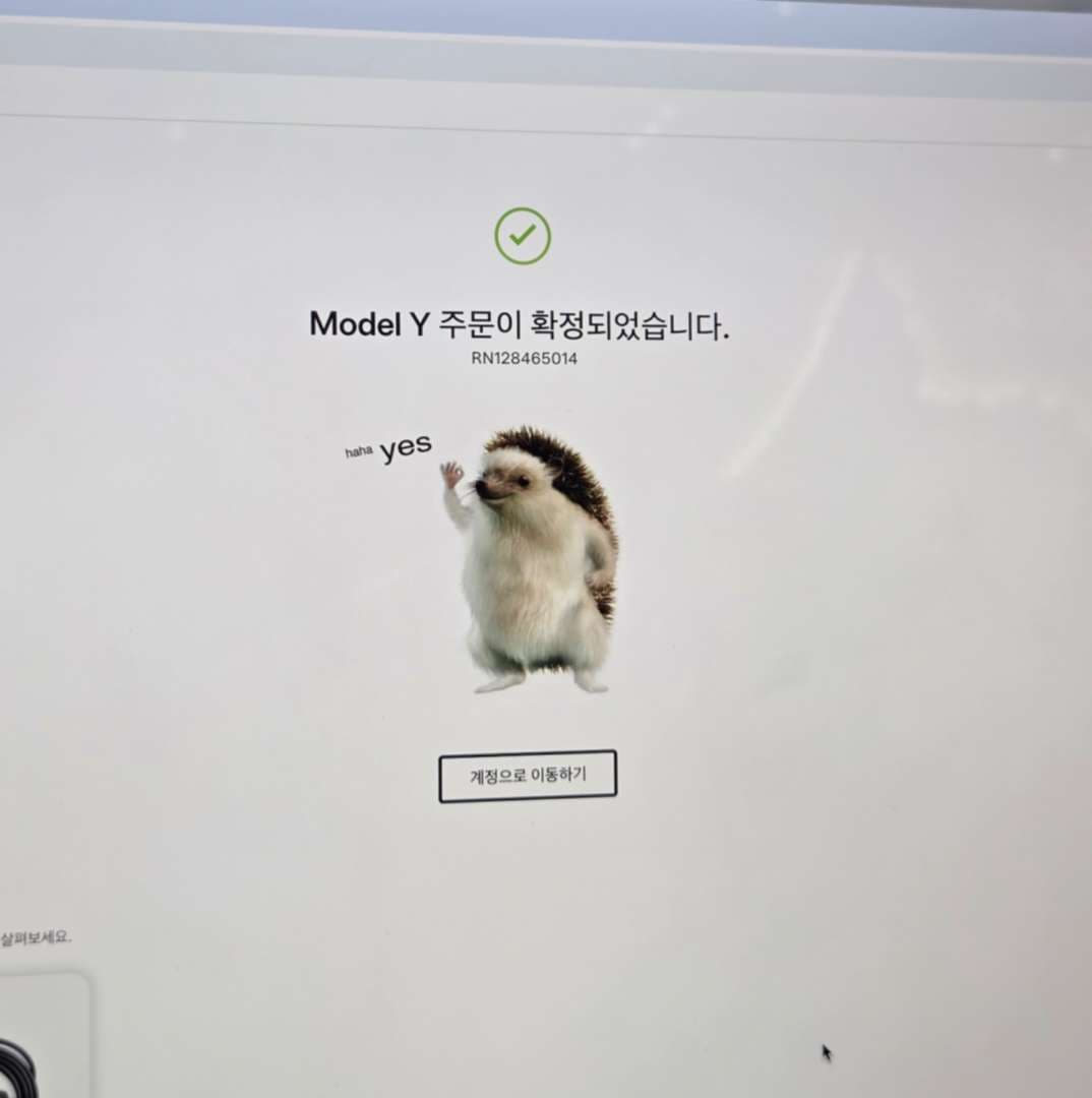 테슬라 출고 썬팅 및 ppf 정보 이미지 1/1