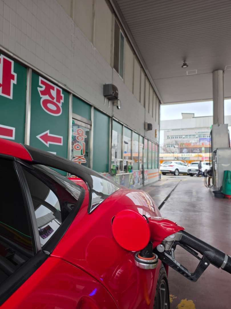 붉은 말의 해라.... 이미지 1/2