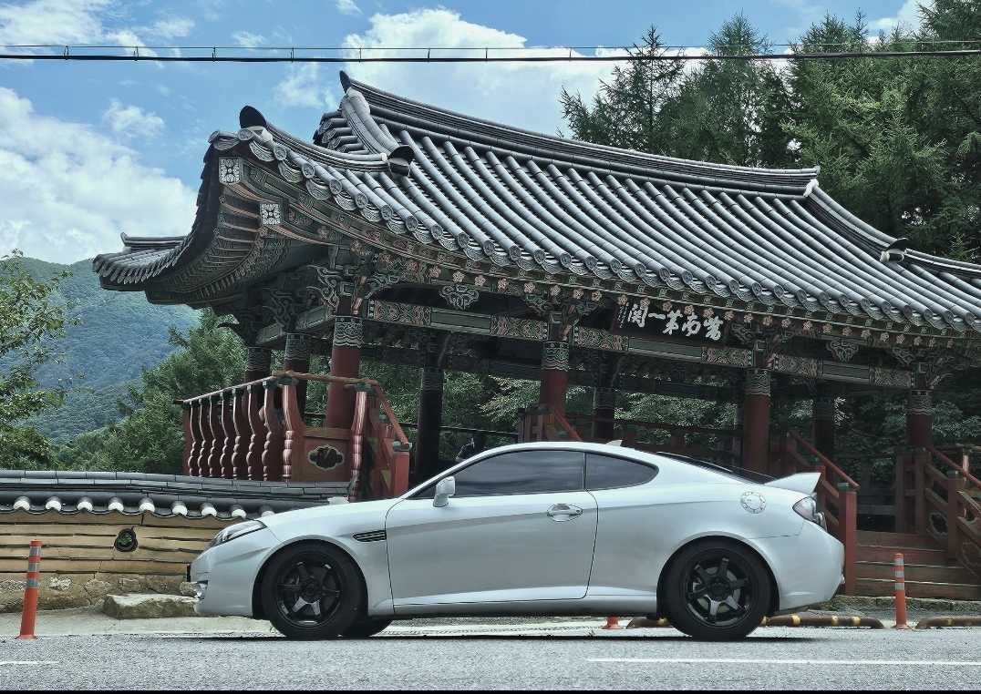 이제 루스카니도 영타이머 겠죠? 이미지 4/4