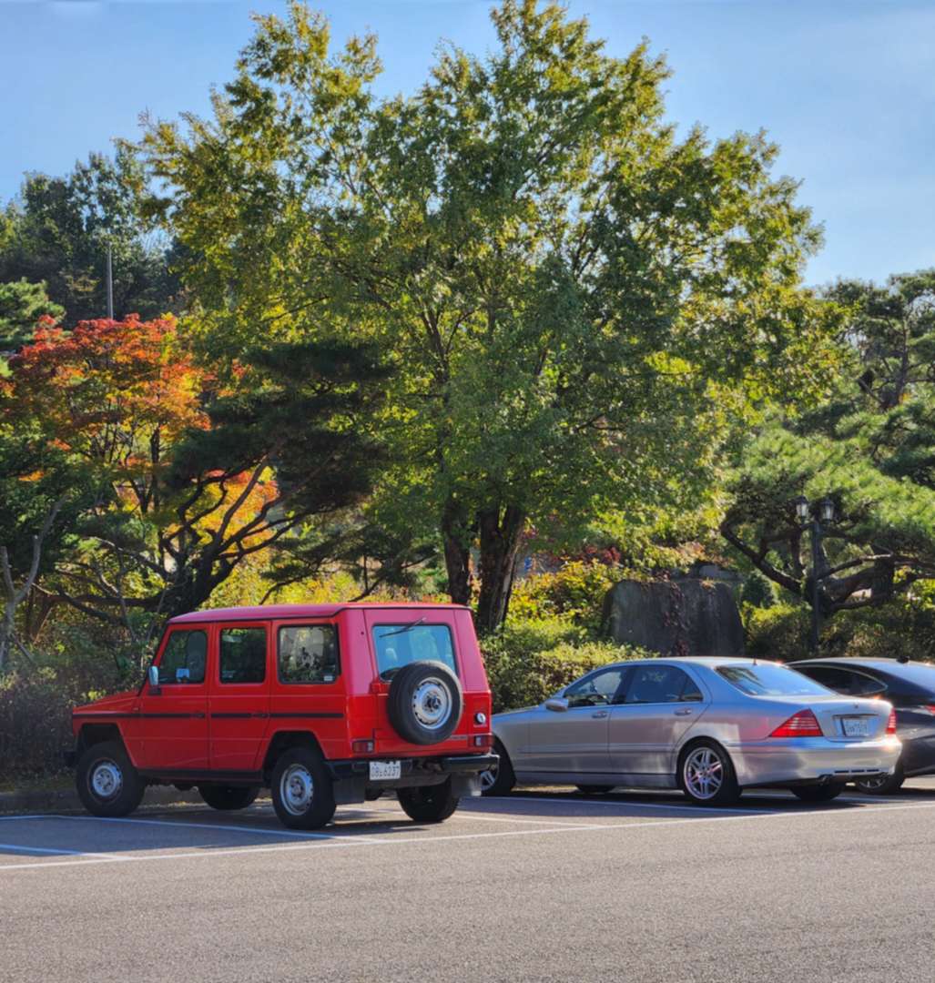 안녕하세요. 23살된 W220 인사드립니다. 이미지 7/8