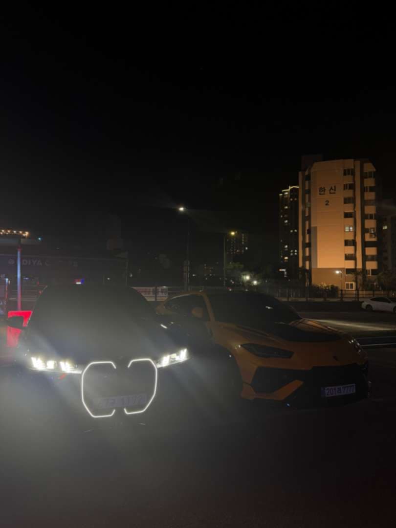 차알못 BMW IX45 출고후 1년 후기 2.8만키로 이미지 3/10