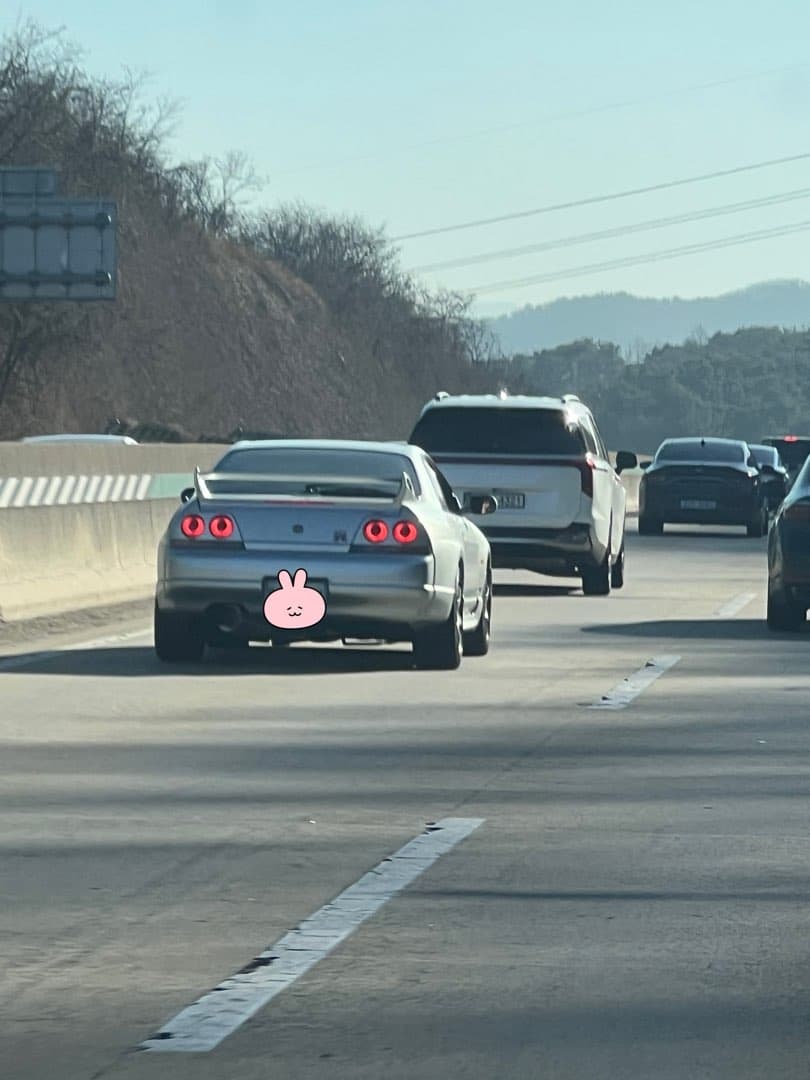 며칠전에 만난 고질라 이미지 1/2