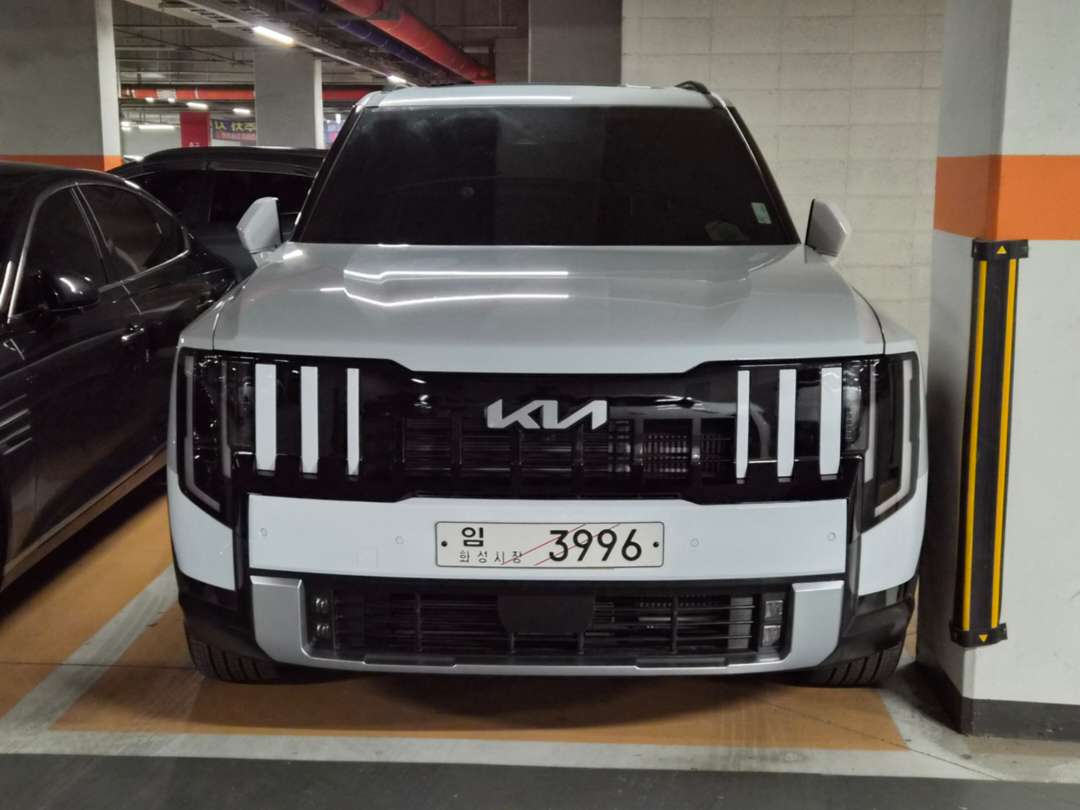 텔루라이드 실물 ㄷㄷ 이미지 1/7