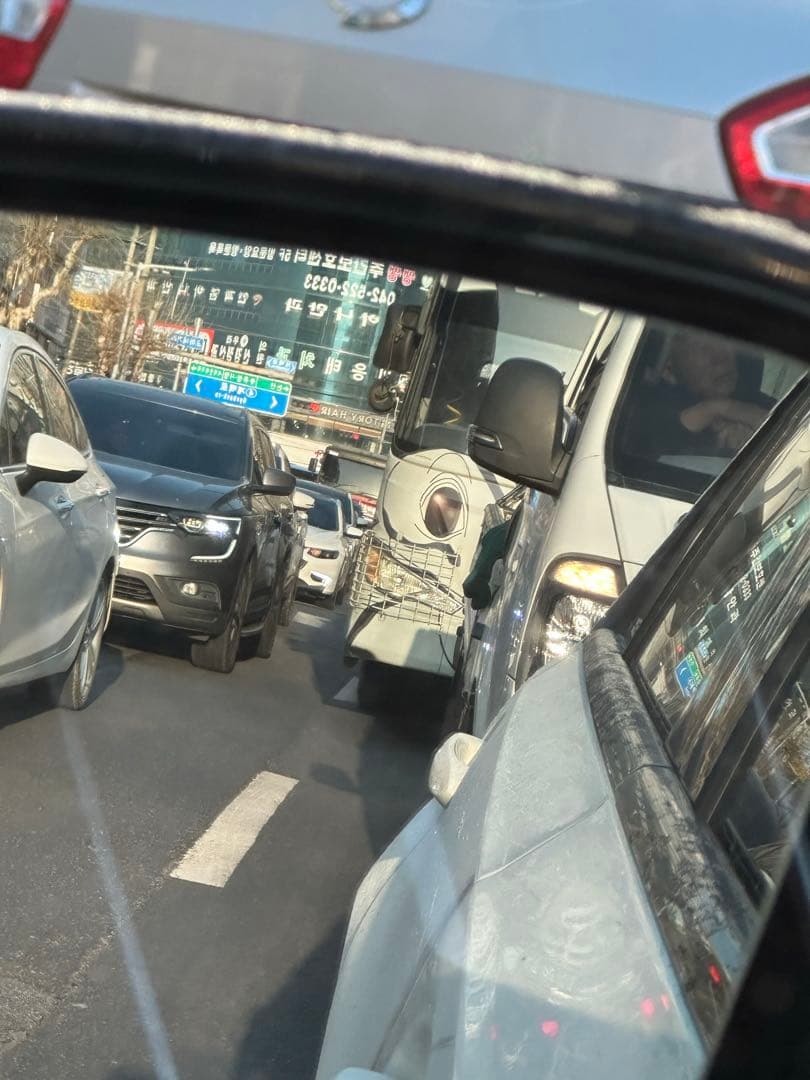 출근길 여기는 사파리입니다? 이미지 1/2