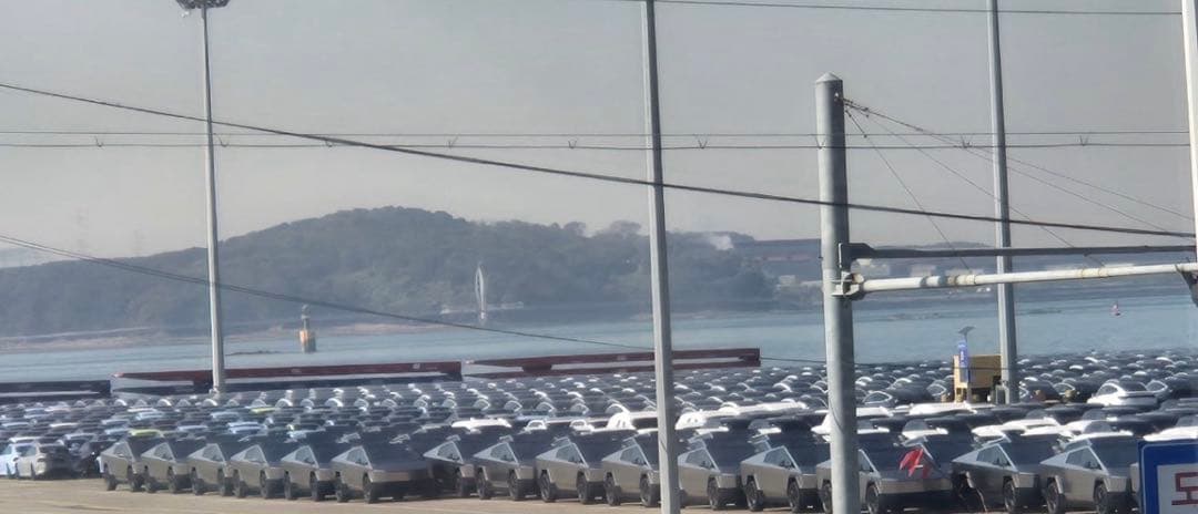 사이버트럭이 입항됐습니다 이미지 1/1