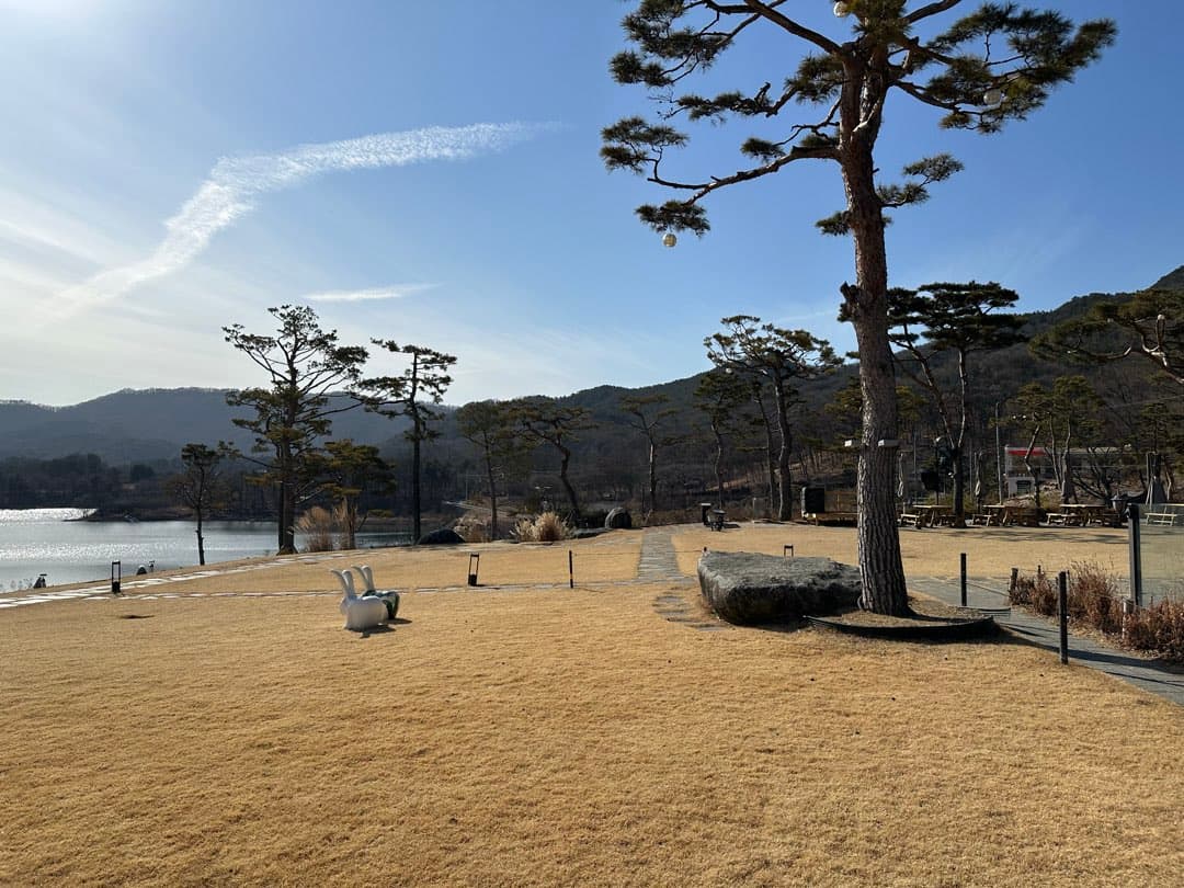 대청호에 경치 끝네주는 단골카페가 있습니다ㅎㅎ 이미지 2/6