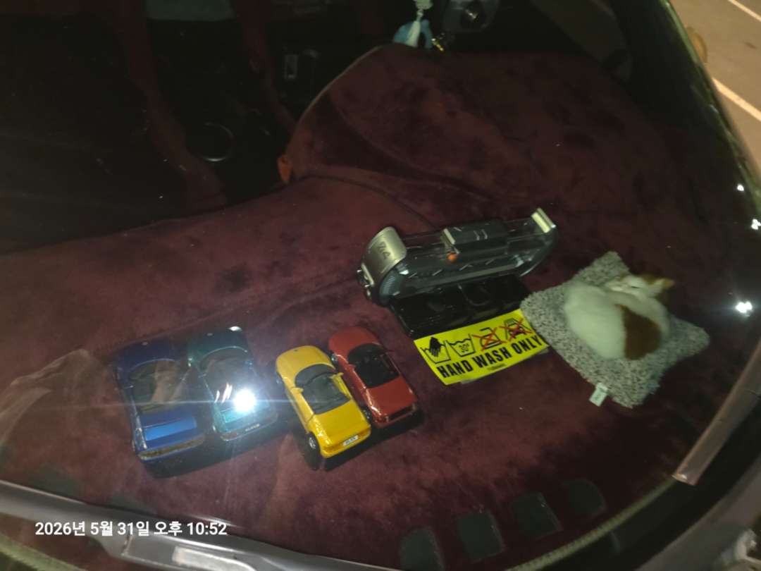 최근 근황입니다. 이미지 3/7