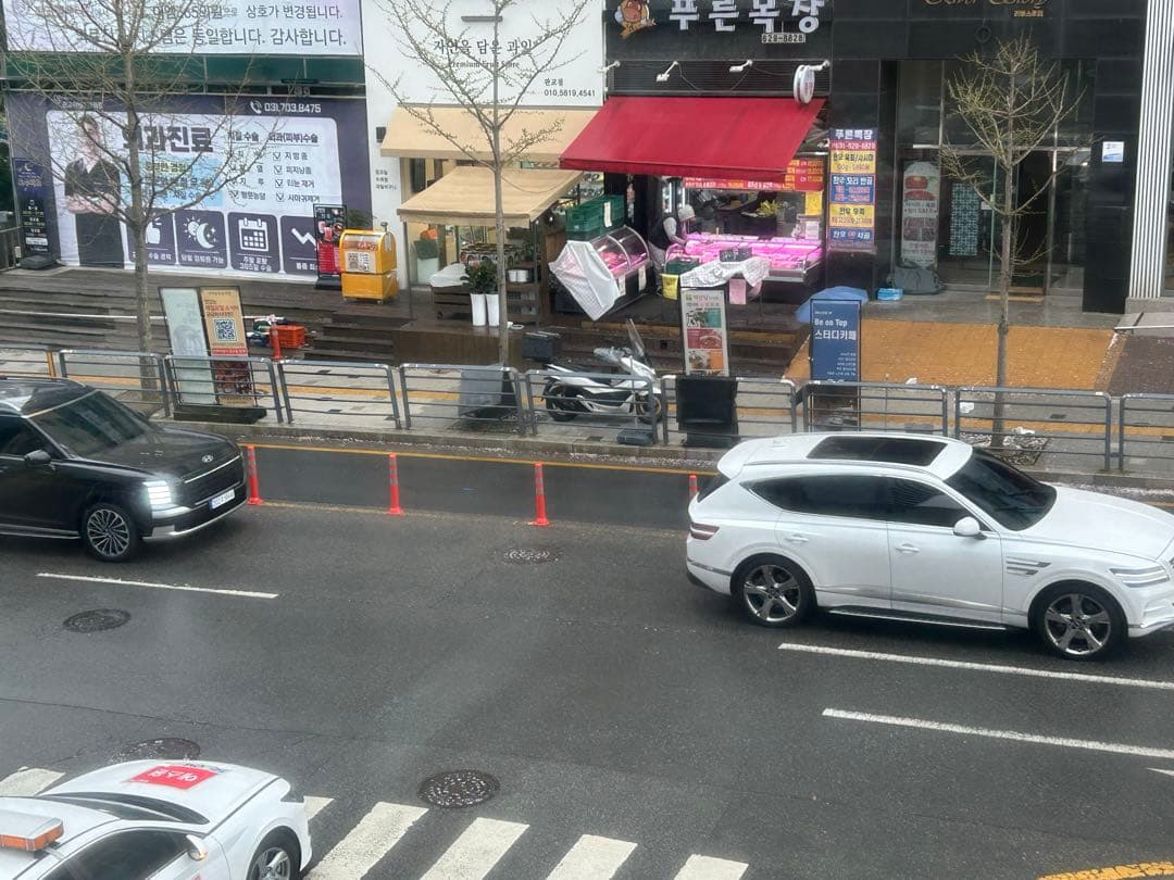 실물 깡패 펠리세이드 이미지 2/2