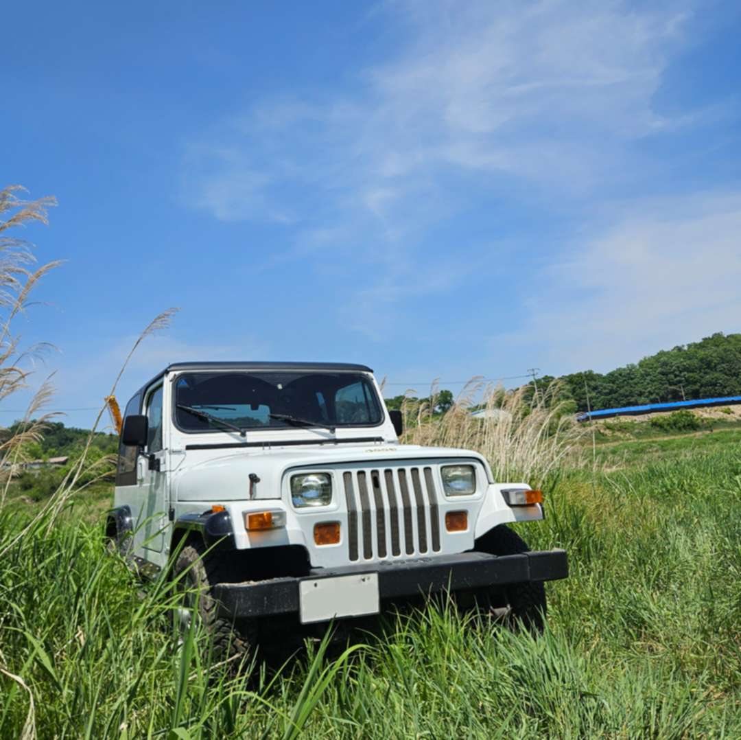 93년생 한국나이 34살 랭글러 YJ 자랑이요~ 이미지 1/4