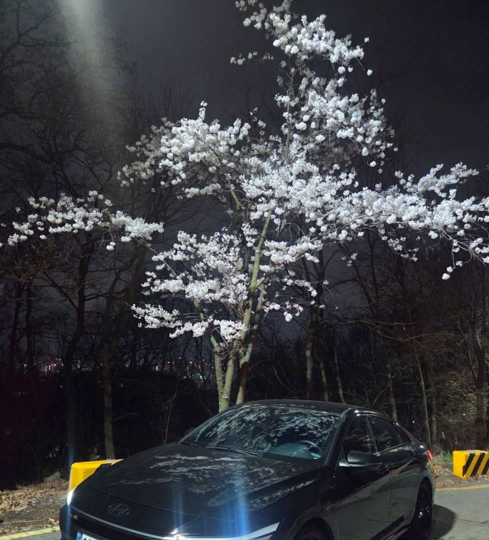 N뱃지 도전? 이미지 2/3