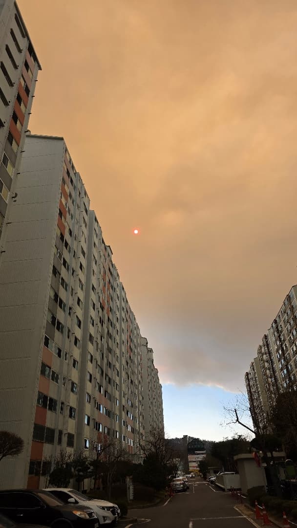 트라제 때벗기는날인데.... 재가 떨어지네요 이미지 5/7