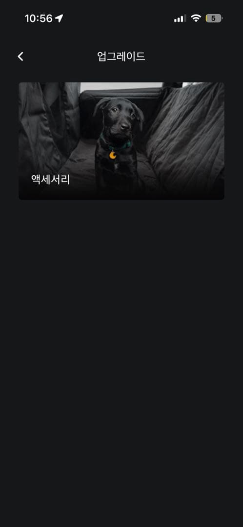 테슬라 감독형 fsd 관련 이미지 1/1
