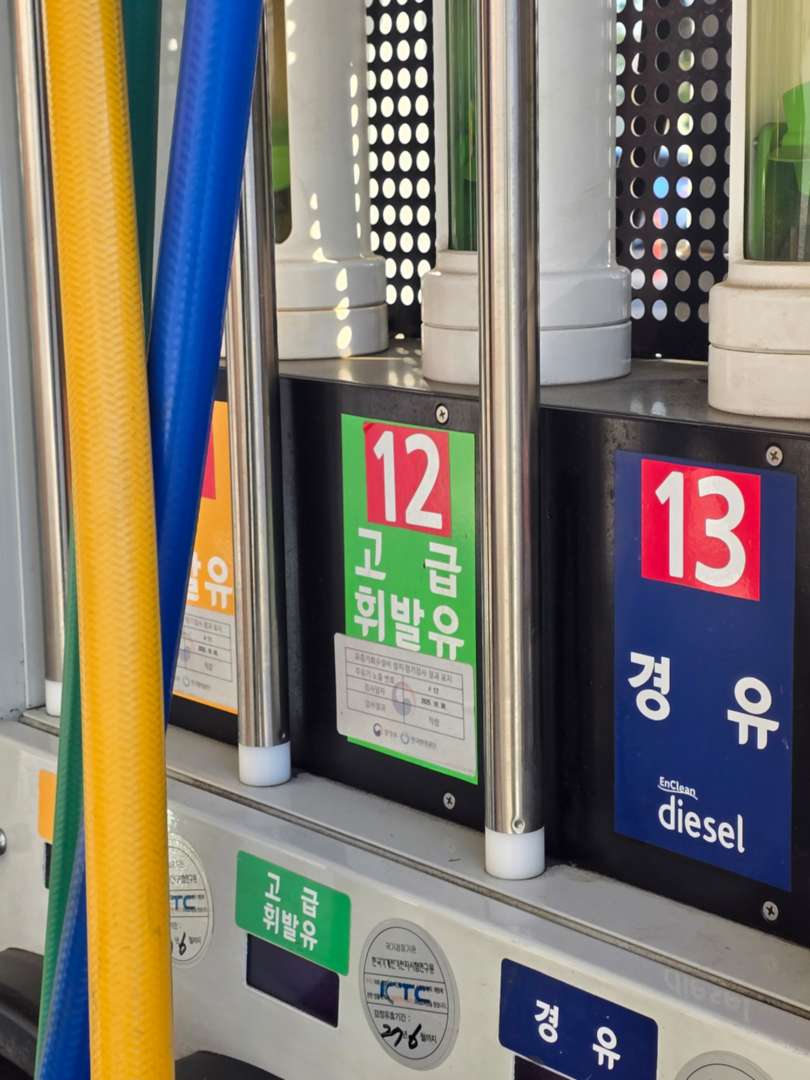 우리 쏘렝이 맘마 먹이기. 이미지 7/10