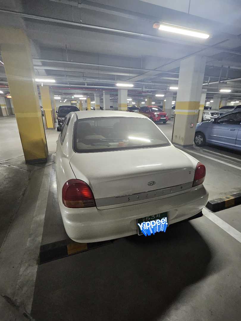 집 맞은편 보물창고 이미지 7/7