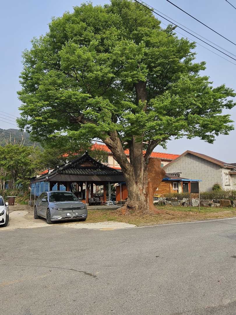 내가 시험공부 했던 장소 이미지 1/1