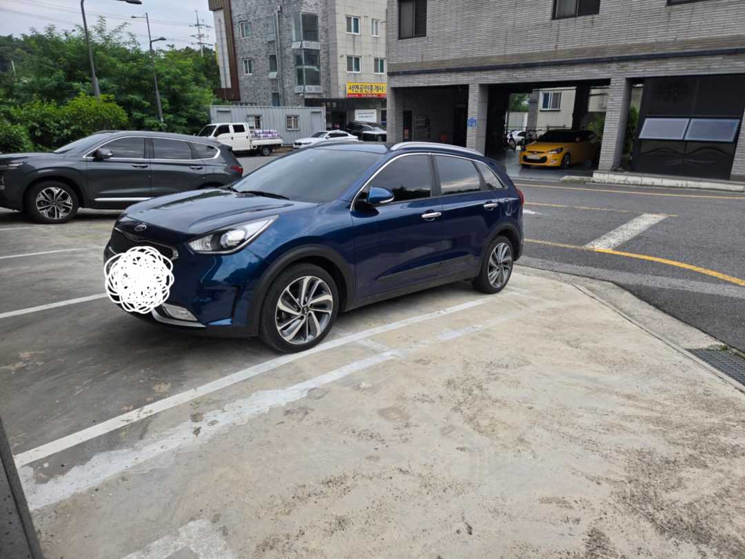 새로운 아이를 들여왔습니다 이미지 1/1