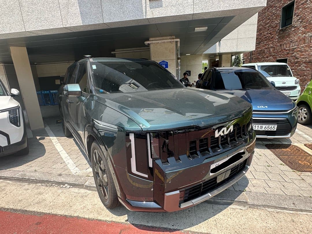 텔루라이드 이쁘네요 이미지 1/1