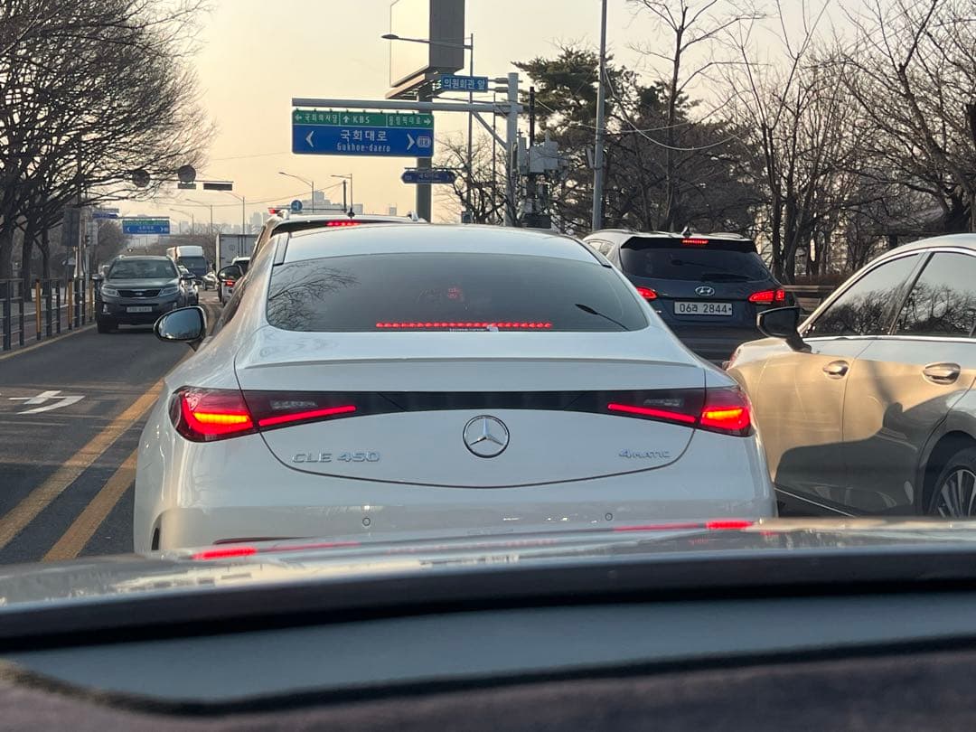 희귀종…레어템 이미지 1/1
