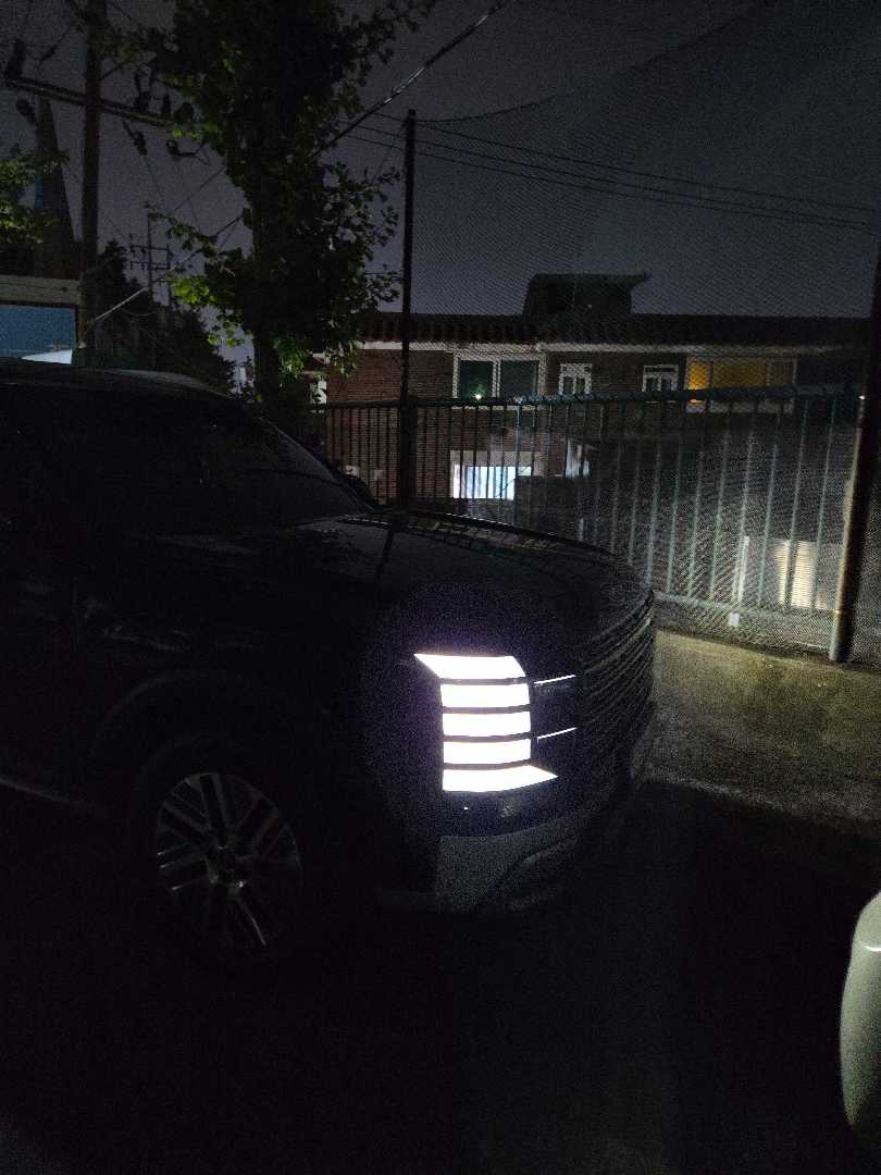 팰리 하브 익스 출고했습니다 이미지 2/2