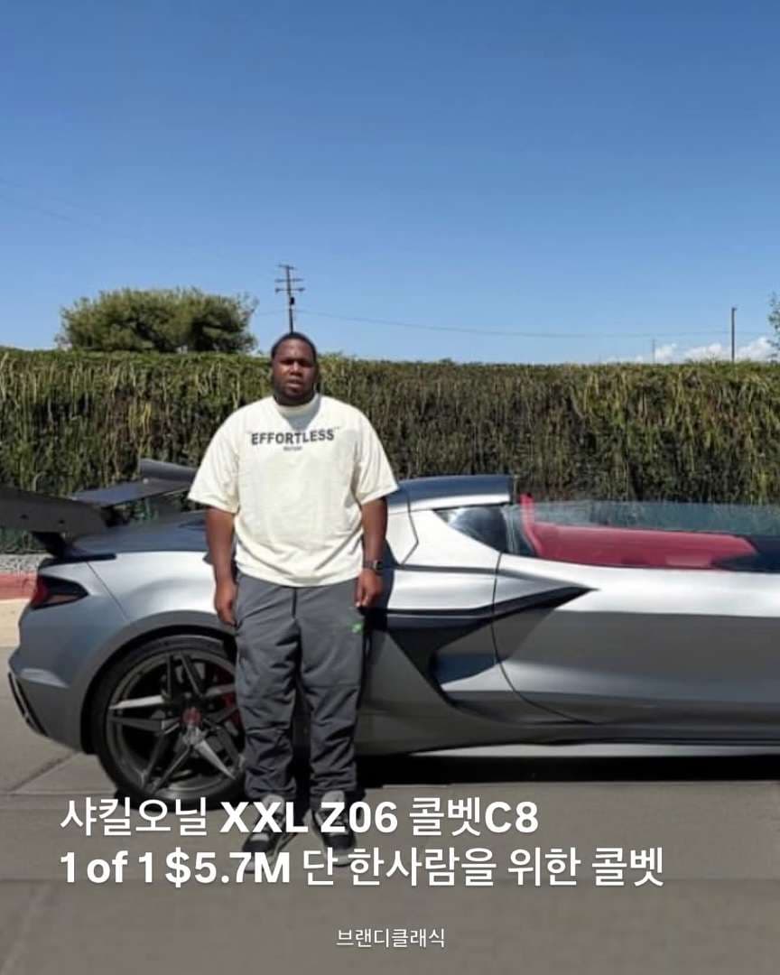 샤킬오닐용(?) 코벳 이미지 1/4