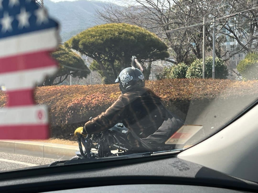 귀여운 헬멧이네요 ㅋㅋ 이미지 1/1