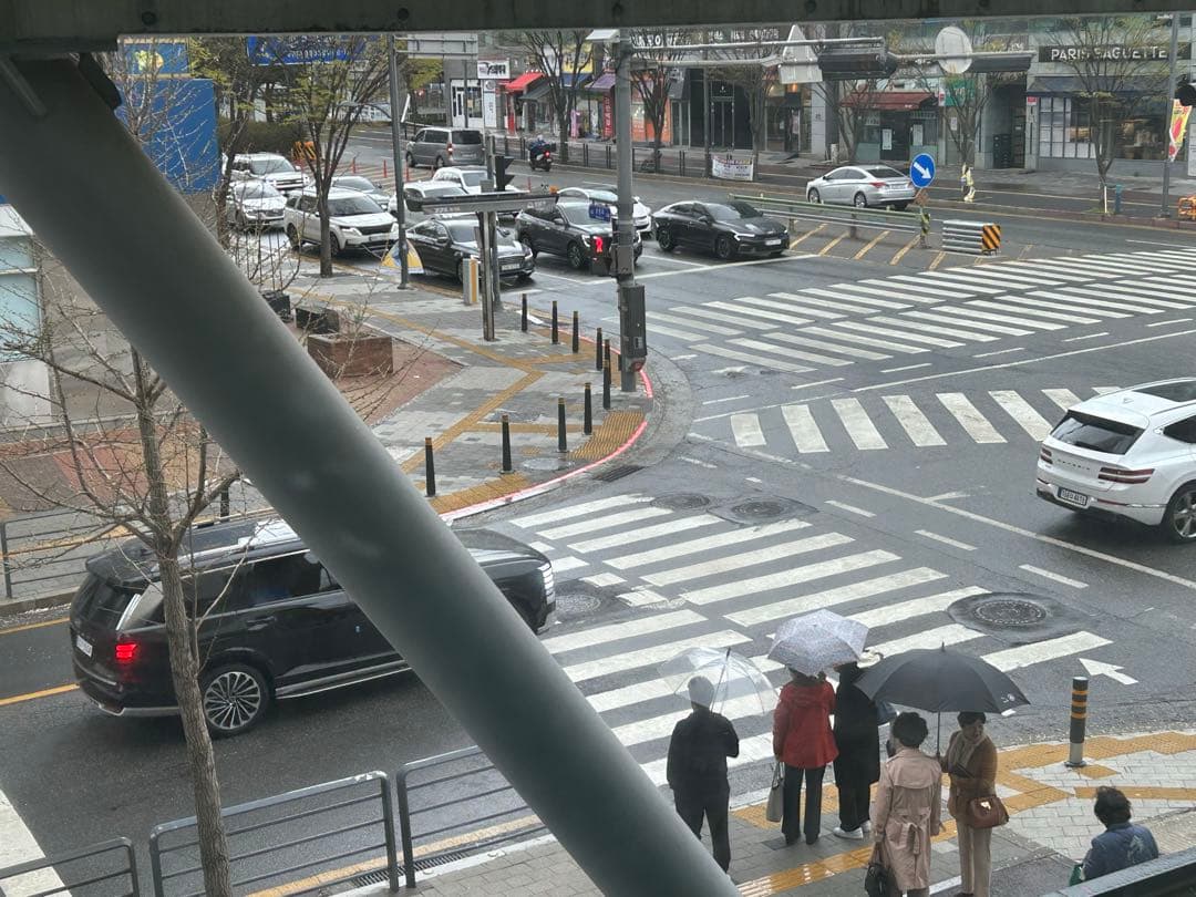 실물 깡패 펠리세이드 이미지 1/2