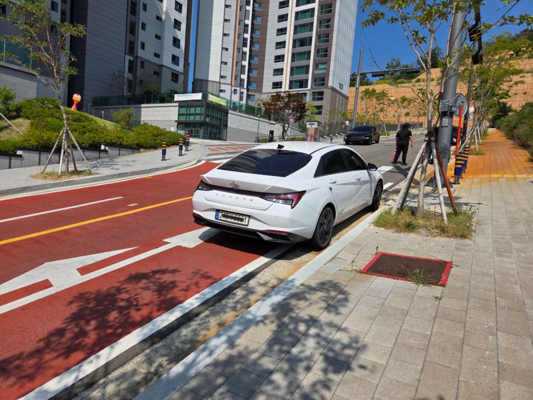 주차빌런 아반떼 이미지 2/2
