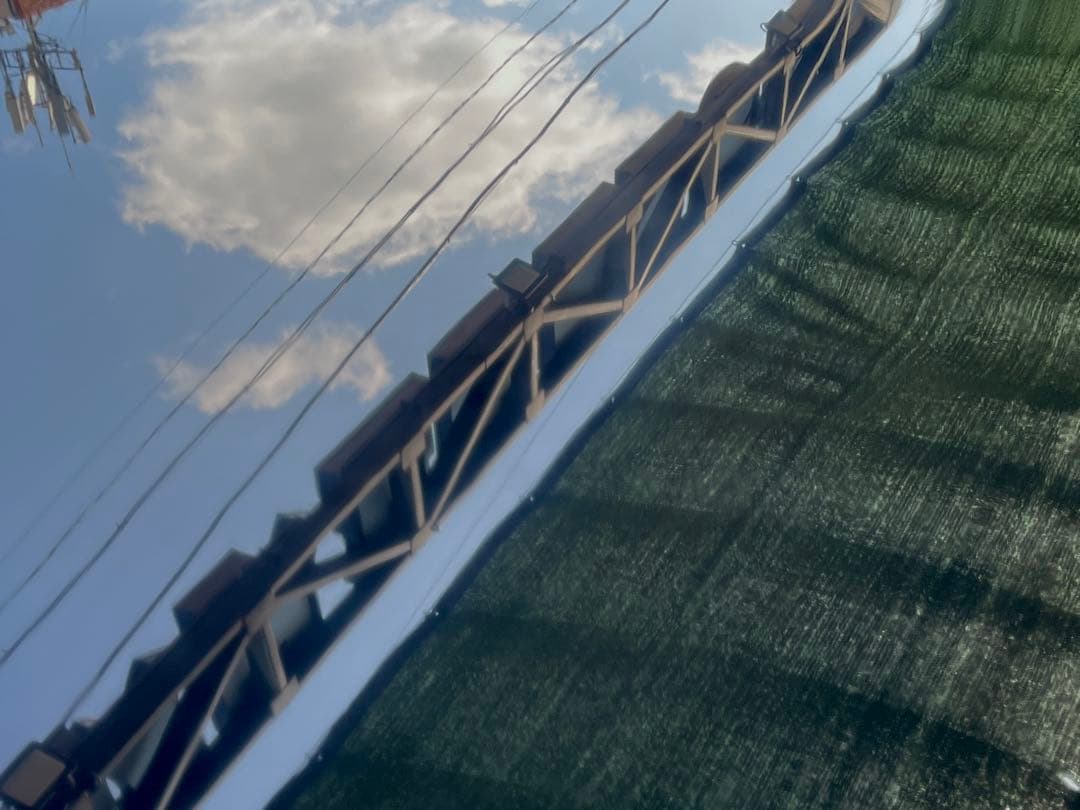 세린이 연휴 세차 🫧 이미지 2/2