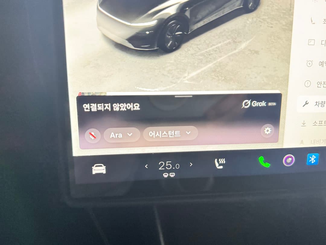테슬라 그록 저만 안되는건가요? 이미지 1/1