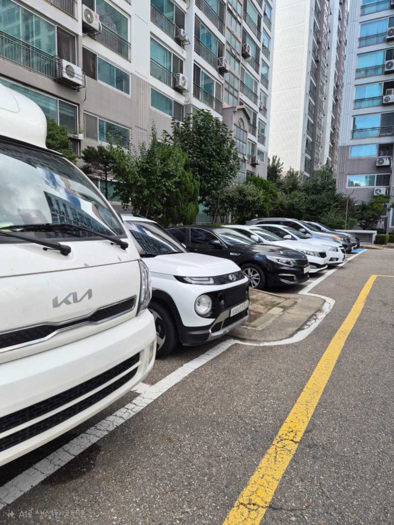 큰차와 작은차를 둘다 모는 사람들 특징 이미지 3/3