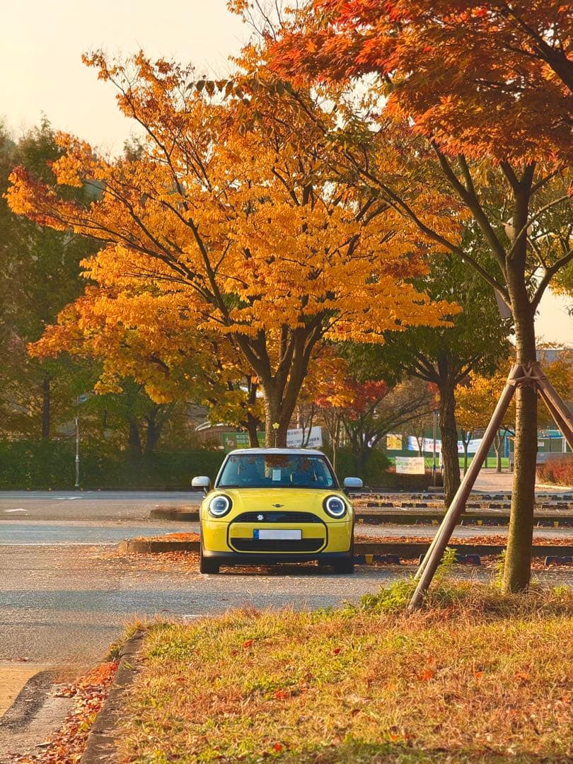 🍂가을도 이젠 끝이네요.. 이미지 3/4