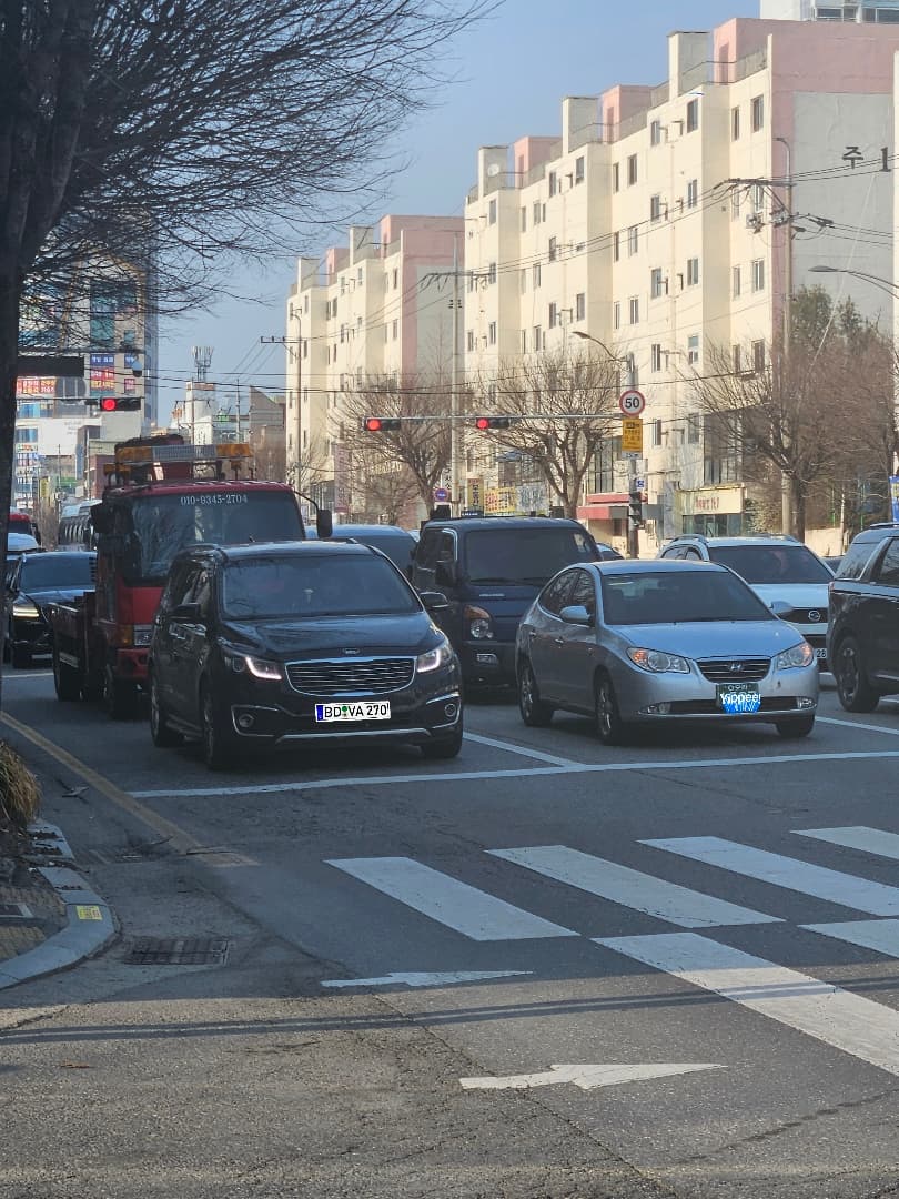 어제(만)봤던 레어탬리스트 이미지 1/5