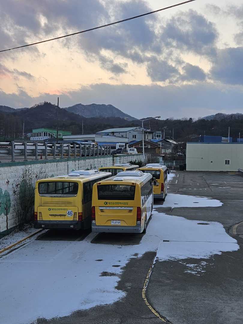올해 7월에 내가 탈차 이미지 1/1