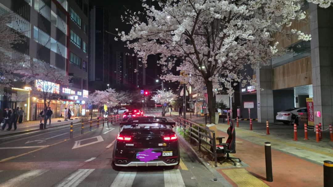 동네 와프님 심부름중에 꽃이 이뻐서 이미지 1/1
