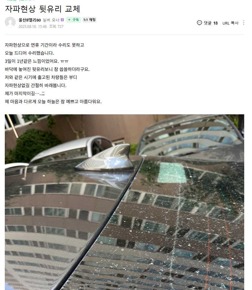 23년식 k8 뒷유리 자파현상 이미지 2/10