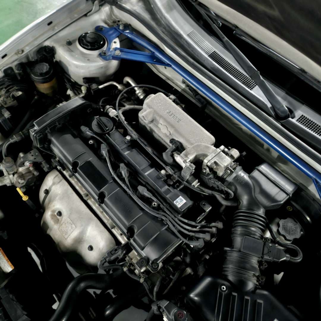 오랜만에 투스카니 보듬어 줬습니다 이미지 4/4