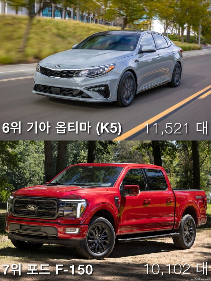 “가장 많이 도난당한 차 1위“ 현대 아반떼 (엘란트라) 등극 이미지 5/9