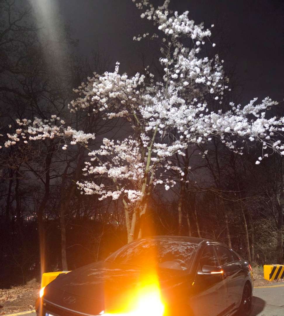 N뱃지 도전? 이미지 3/3