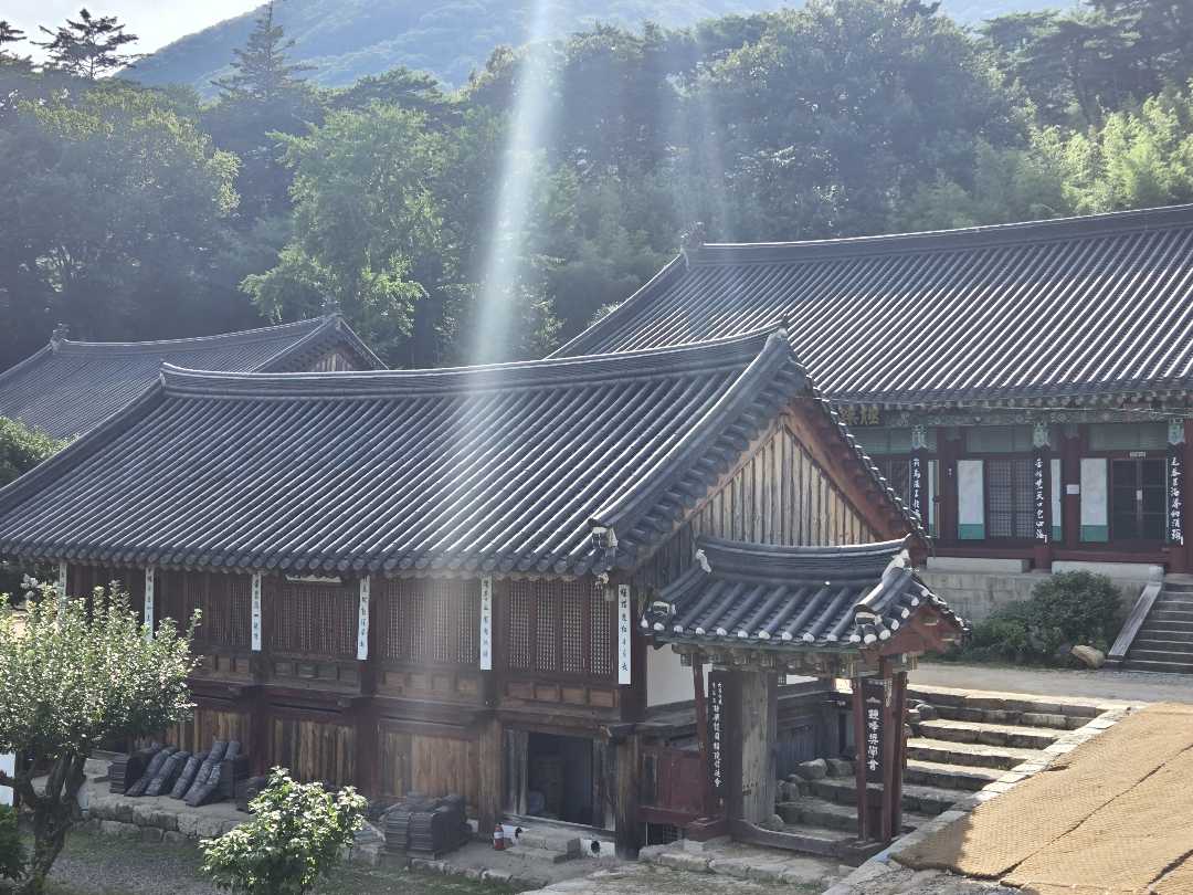경남권 드라이브 코스 추천 합니다! 이미지 1/3