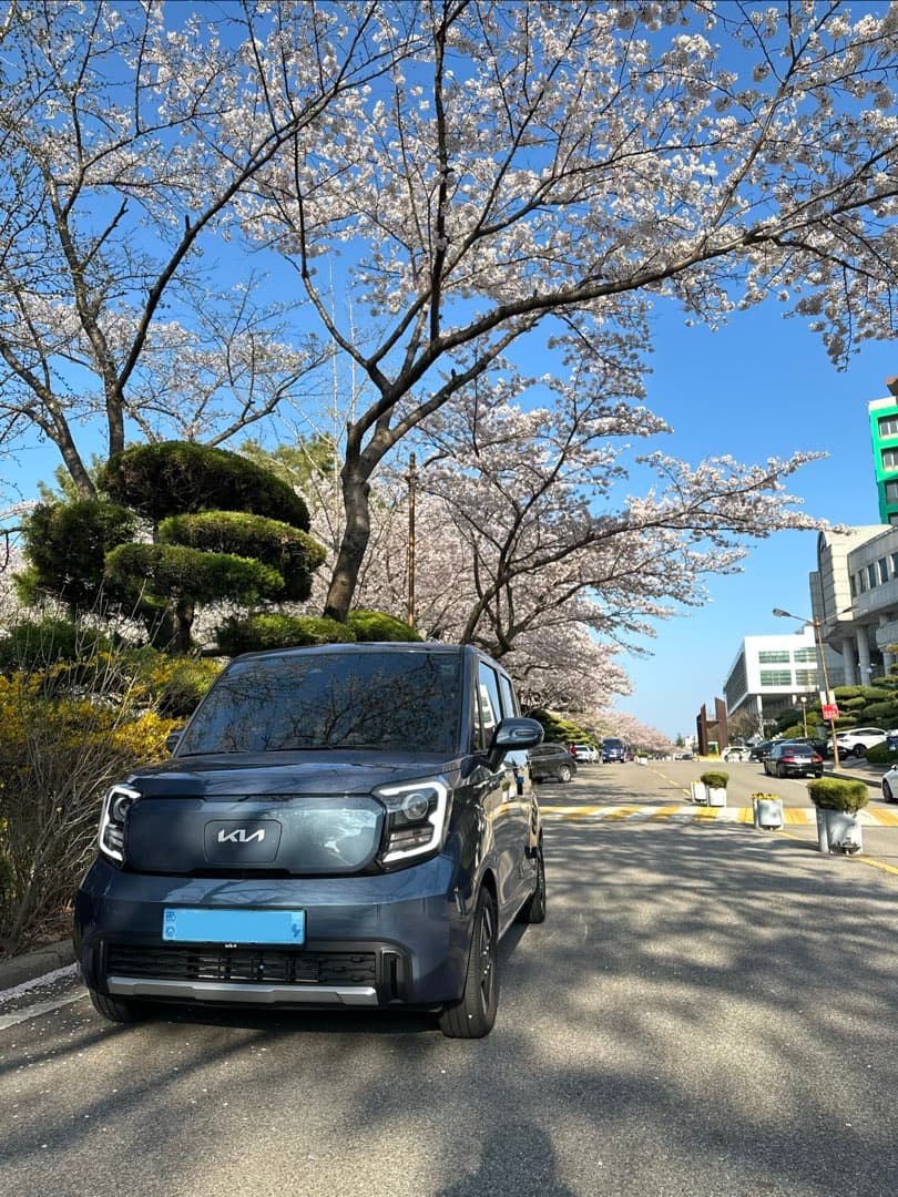 벚꽃과 함께 찍었습니다 이미지 1/1
