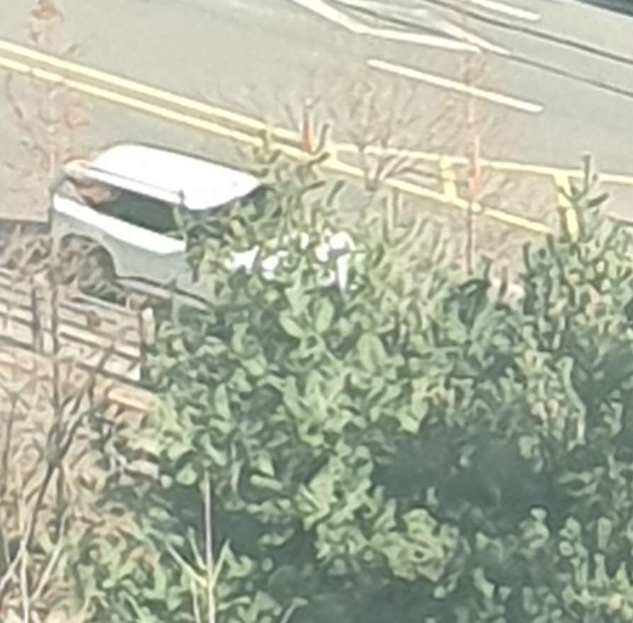 ev5 출고차발견 이미지 2/3